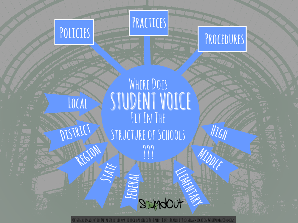 Student Voice in the Structure of Schools for SoundOut.org